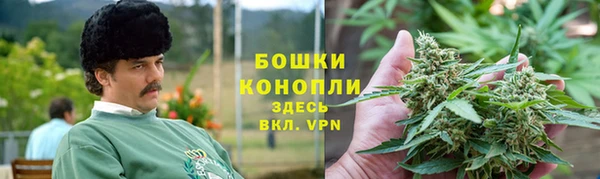 PSILOCYBIN Щигры