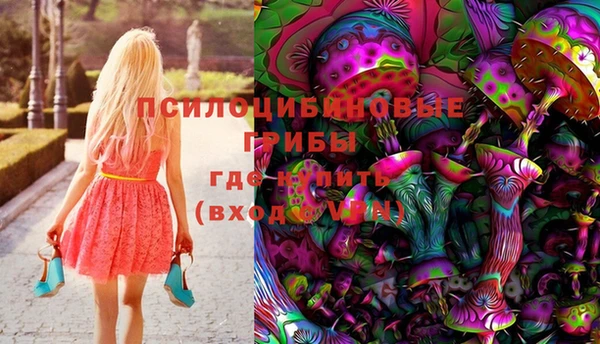 PSILOCYBIN Окуловка