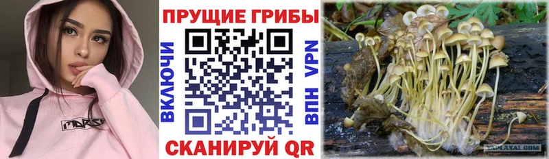 Галлюциногенные грибы прущие грибы  kraken   Оренбург 