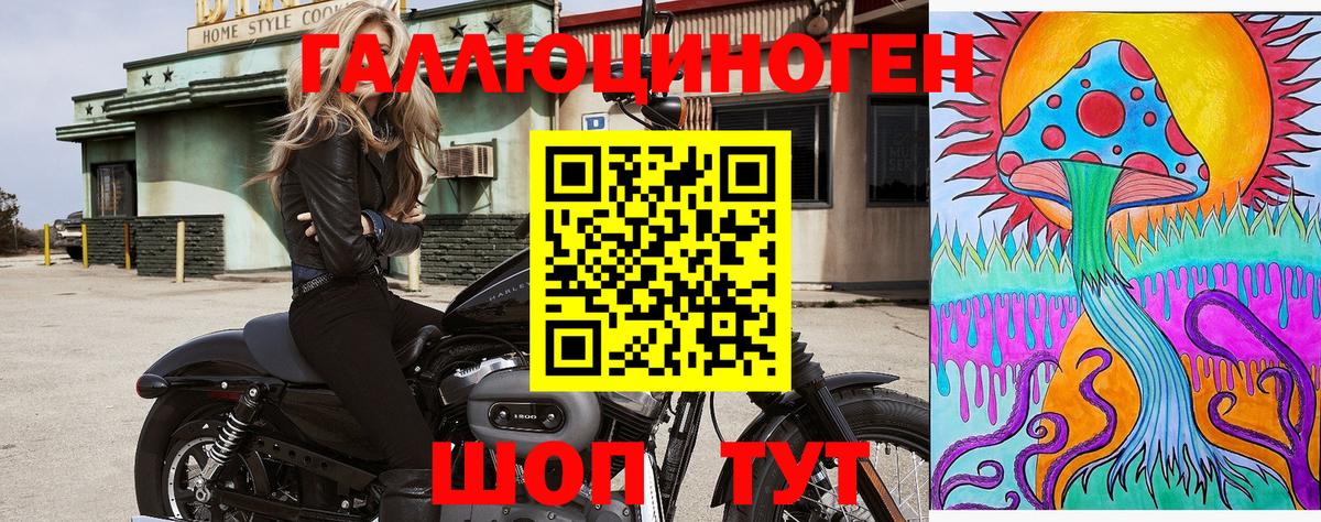 Оренбург  Псилоцибиновые грибы Psilocybine cubensis  Вход с VPN 