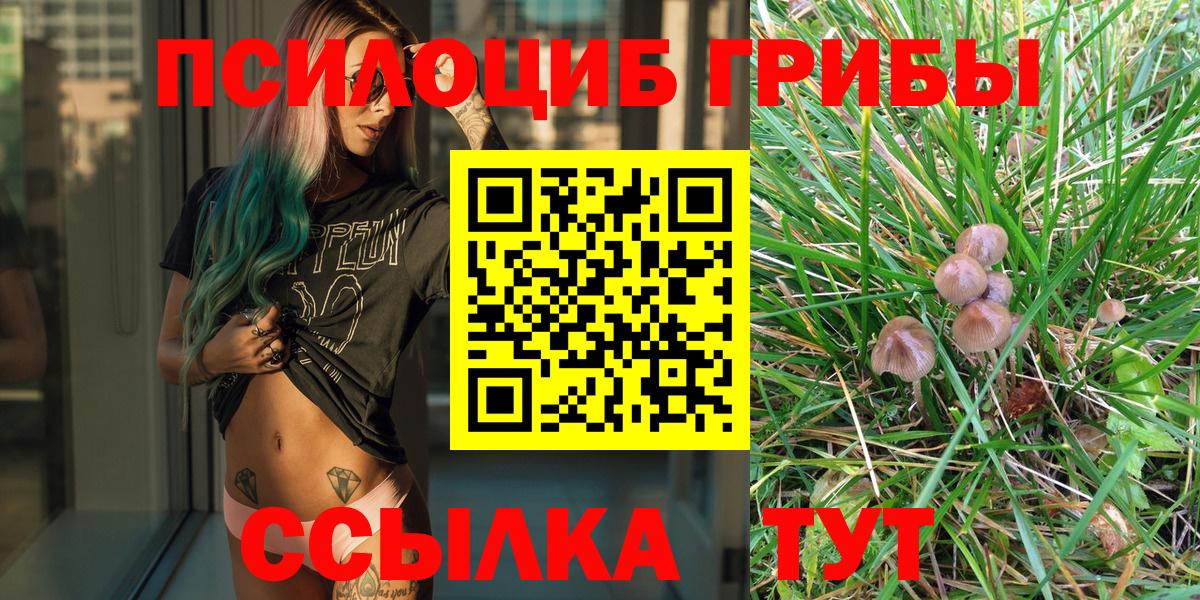 Псилоцибиновые грибы MAGIC MUSHROOMS Оренбург